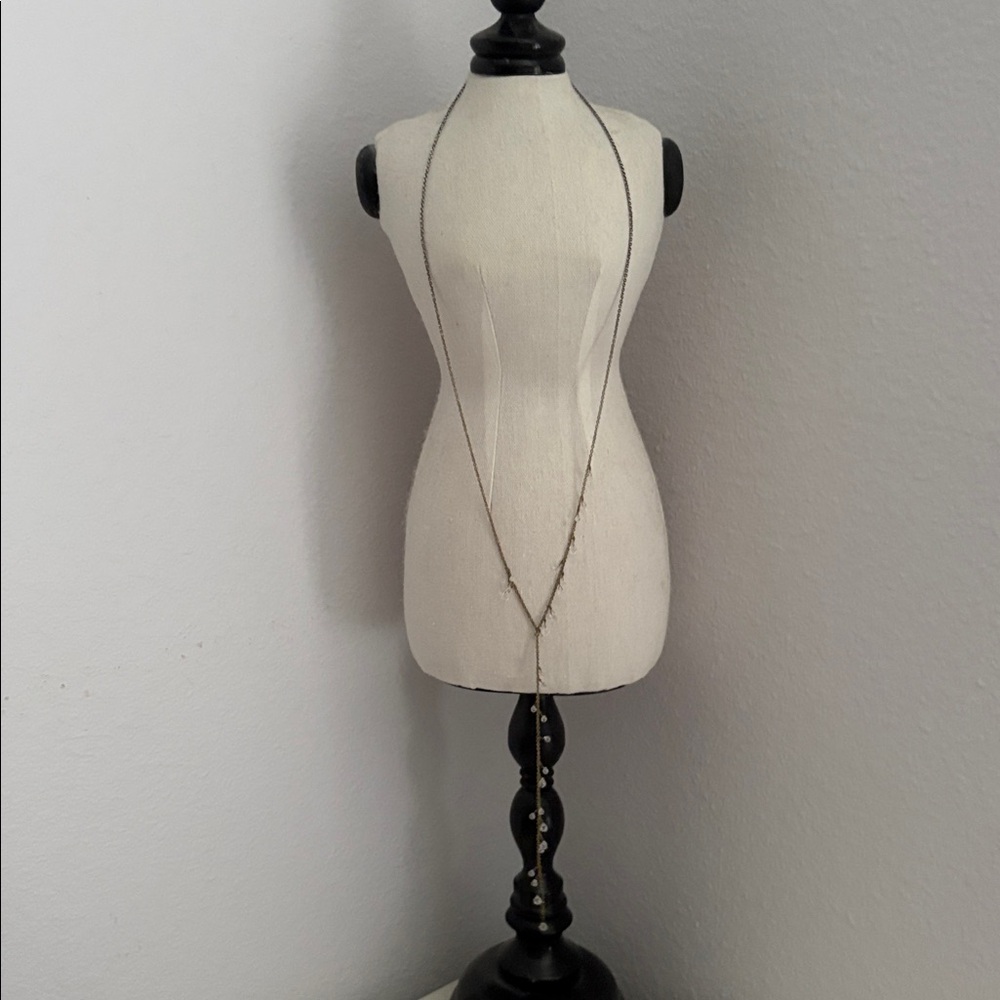Banana Republic Long Tiny Crystal Drop Necklace